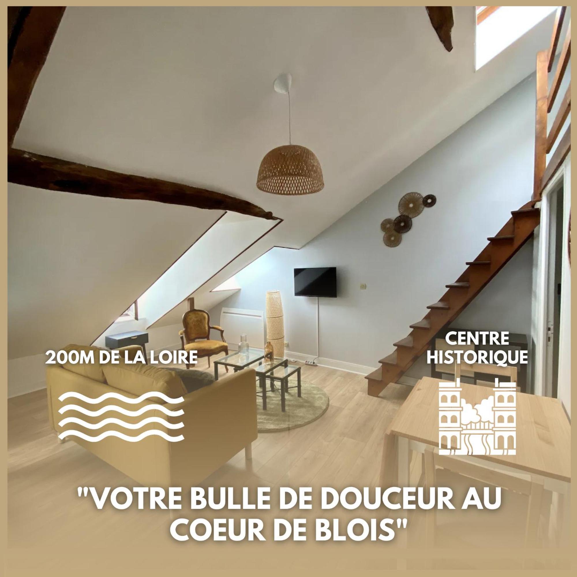 Le Cocon - Appartement En Hyper Centre Blois Dış mekan fotoğraf