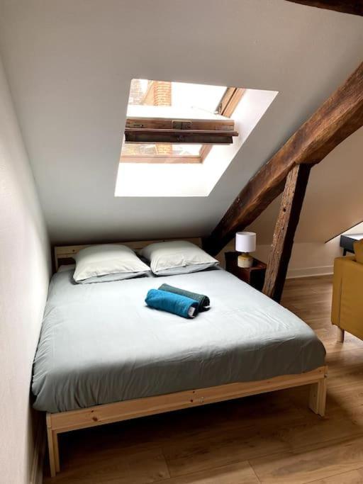 Le Cocon - Appartement En Hyper Centre Blois Dış mekan fotoğraf